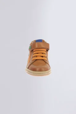 Tackstari Camel