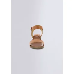 Volou Camel